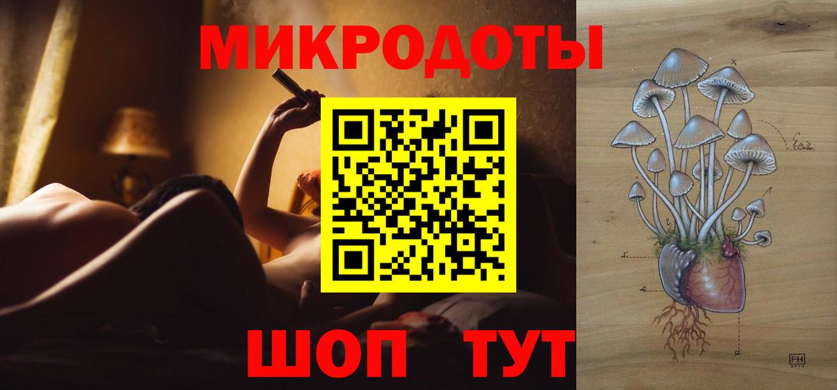 Галлюциногенные грибы прущие грибы  Вход с VPN  Зима 